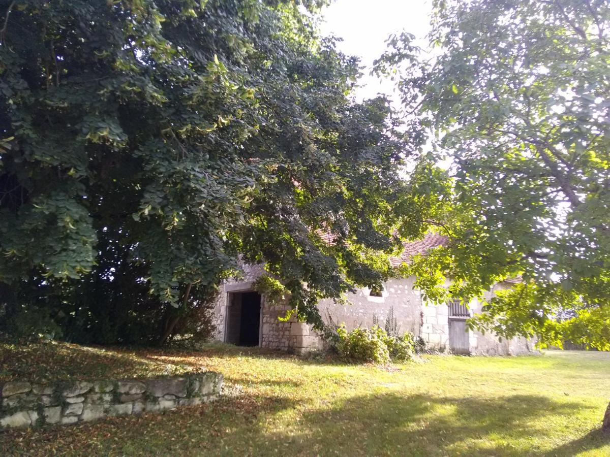 La Berrycurienne Proche Du Zoo De Beauval Saint-Aignan Avec Sdb, Wc Et Spa Privatif Pour Chaque Chambre Luçay-le-Mâle Bagian luar foto